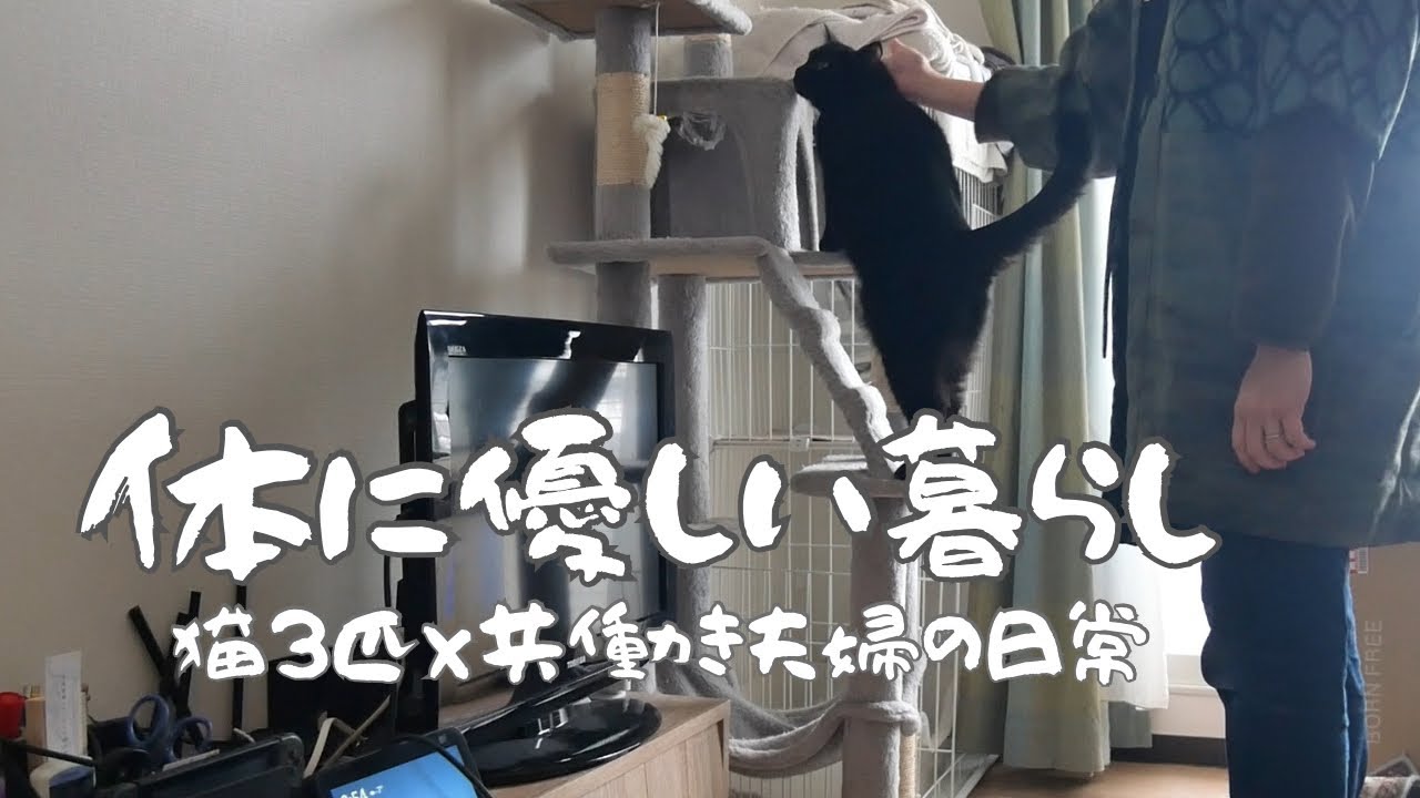 【猫3匹×共働き夫婦の日常】猫と人に優しい暮らし‖ブラッシング大好き猫‖犬猫と一緒に暮らす人のためのハンドクリーム‖冬のおすすめ鍋‖ストーブ事件