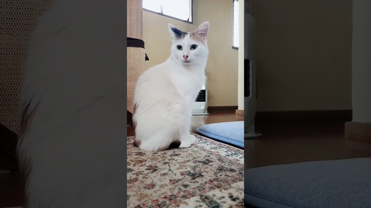 もしや今日金曜日！？