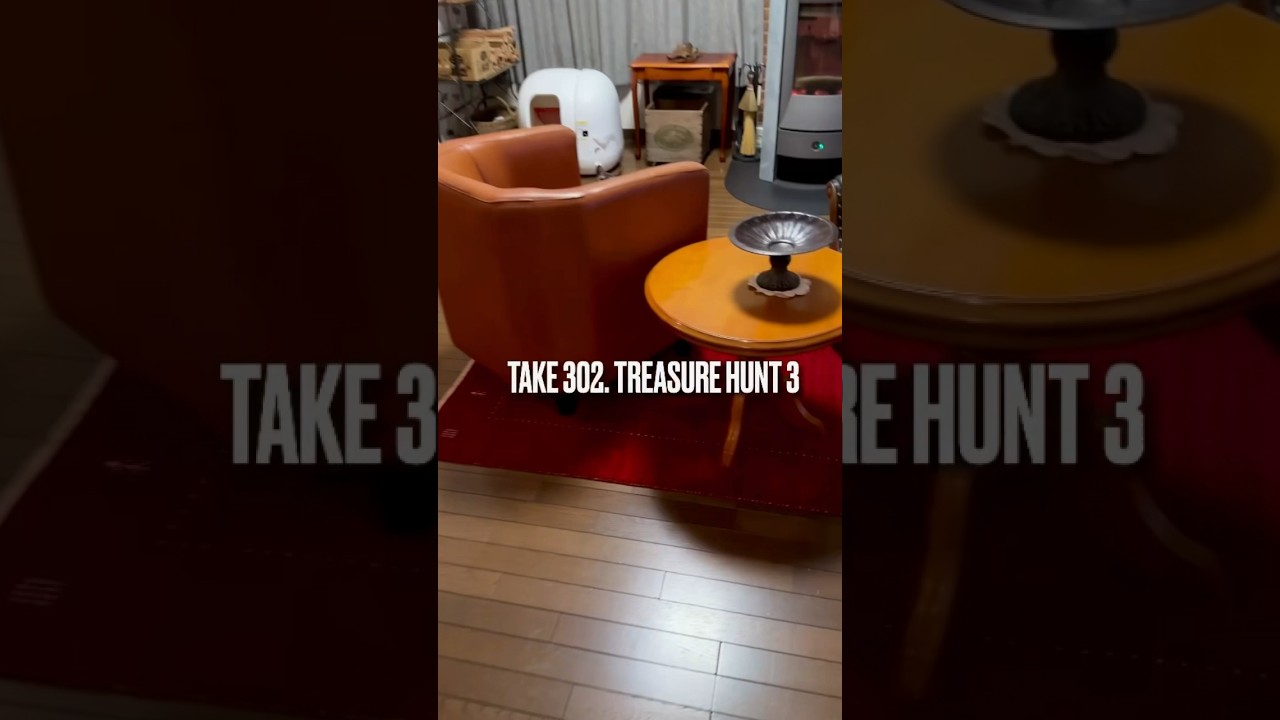 お気に入りの#猫じゃらし 😻またママが隠したけどすぐに見つけたにゃ❗️#宝探し #gigwi #遊ぶ猫 #playingcat #shorts #エジプシャンマウ