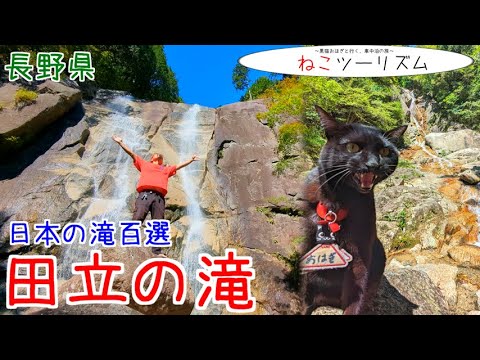 【猫と旅行】田立の滝は日本の滝百選【長野県】