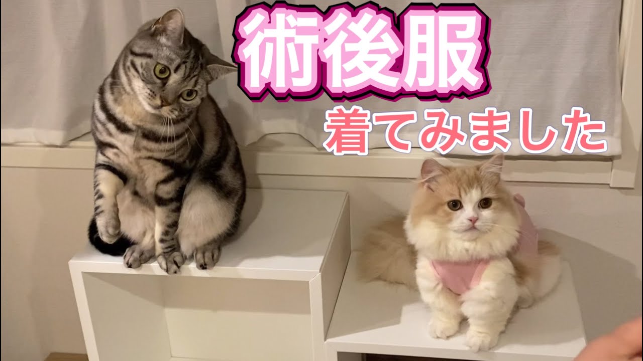 術後服着てみました