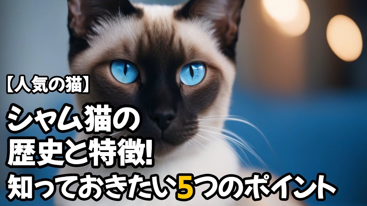 【人気の猫】シャム猫の歴史と特徴！知っておきたい5つのポイント