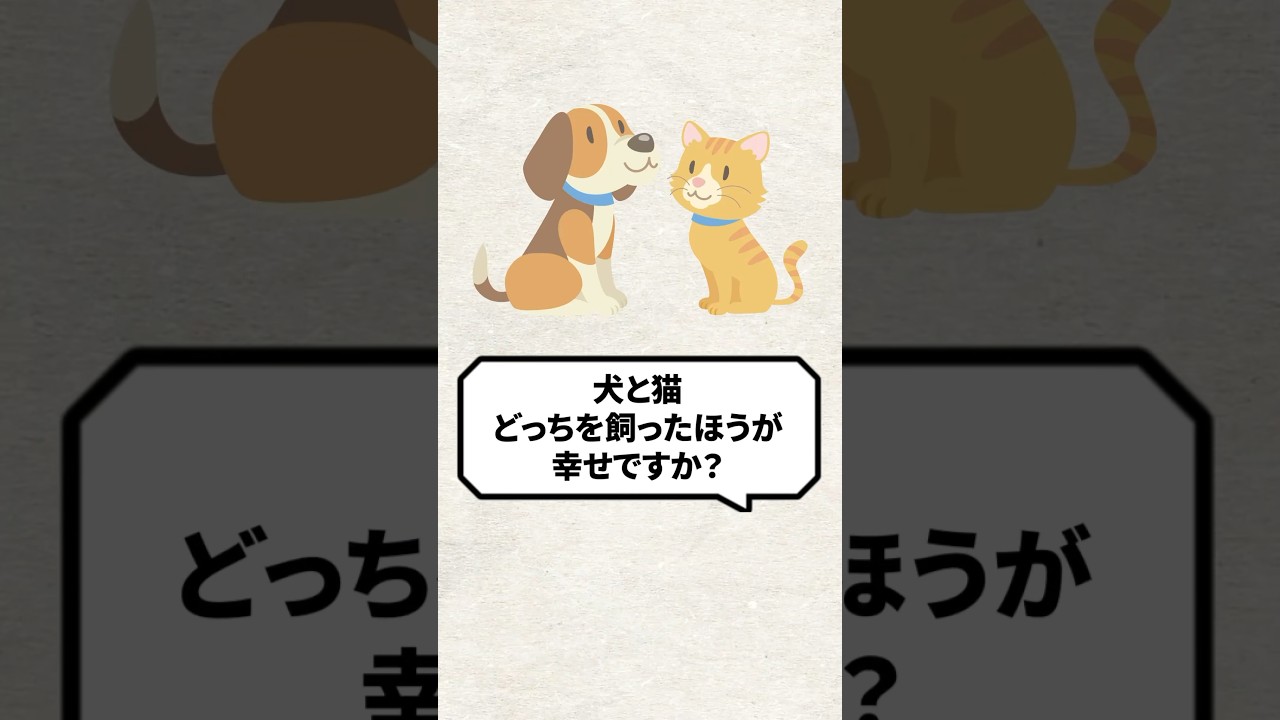 Q：犬と猫どっちを飼った方が幸せですか？ #猫 #保護猫 #猫になりたい