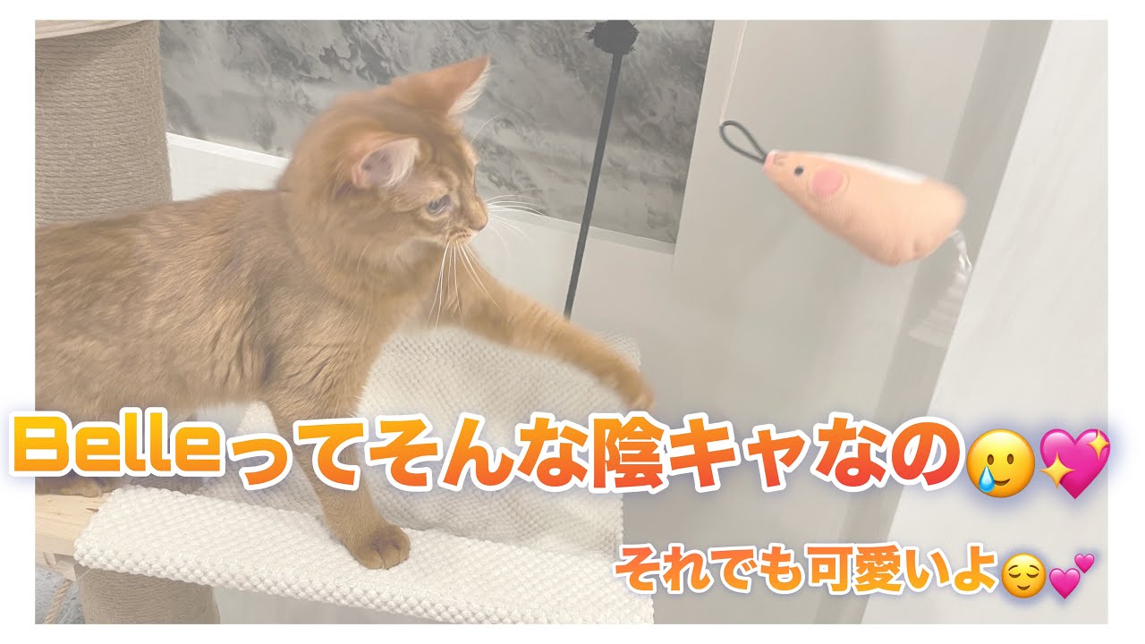 Belleが陰キャすぎる😂