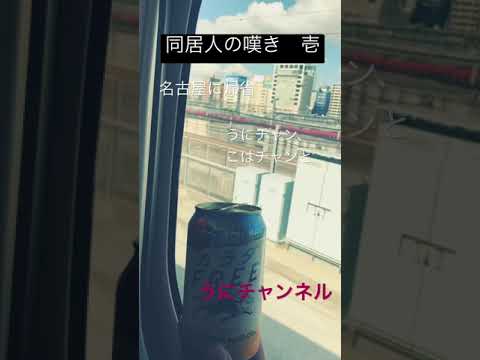 同居人の嘆き　壱 #猫 #スフィンクス