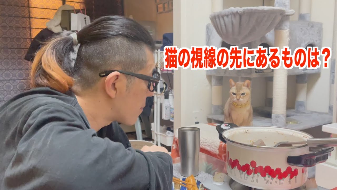 猫っておでん好きなん？