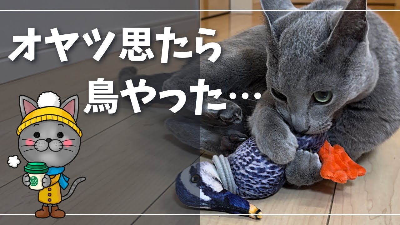 アタリが強すぎて首が◯っちゃいそうな生き鳥【ロシアンブルー】