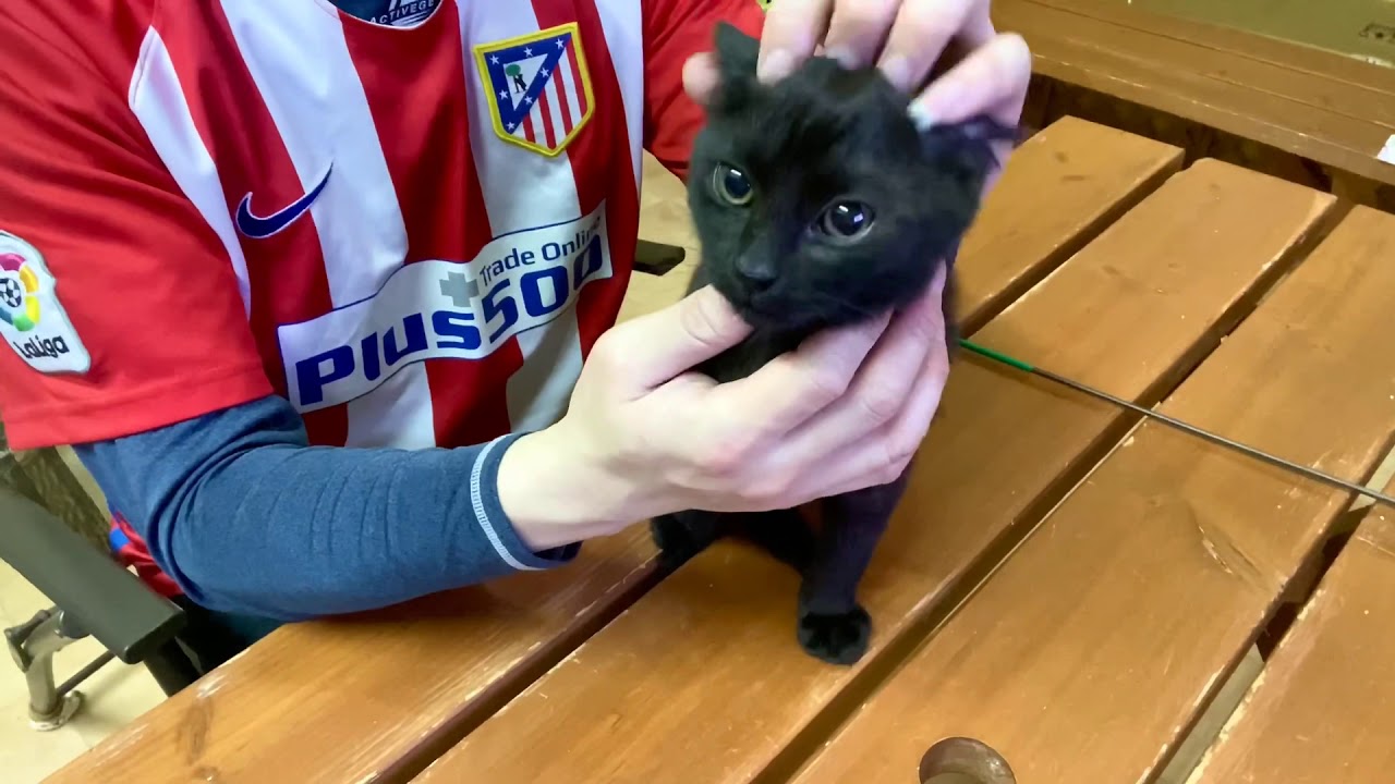 【ナナハチ’s ROOM】ボンベイの男の子②