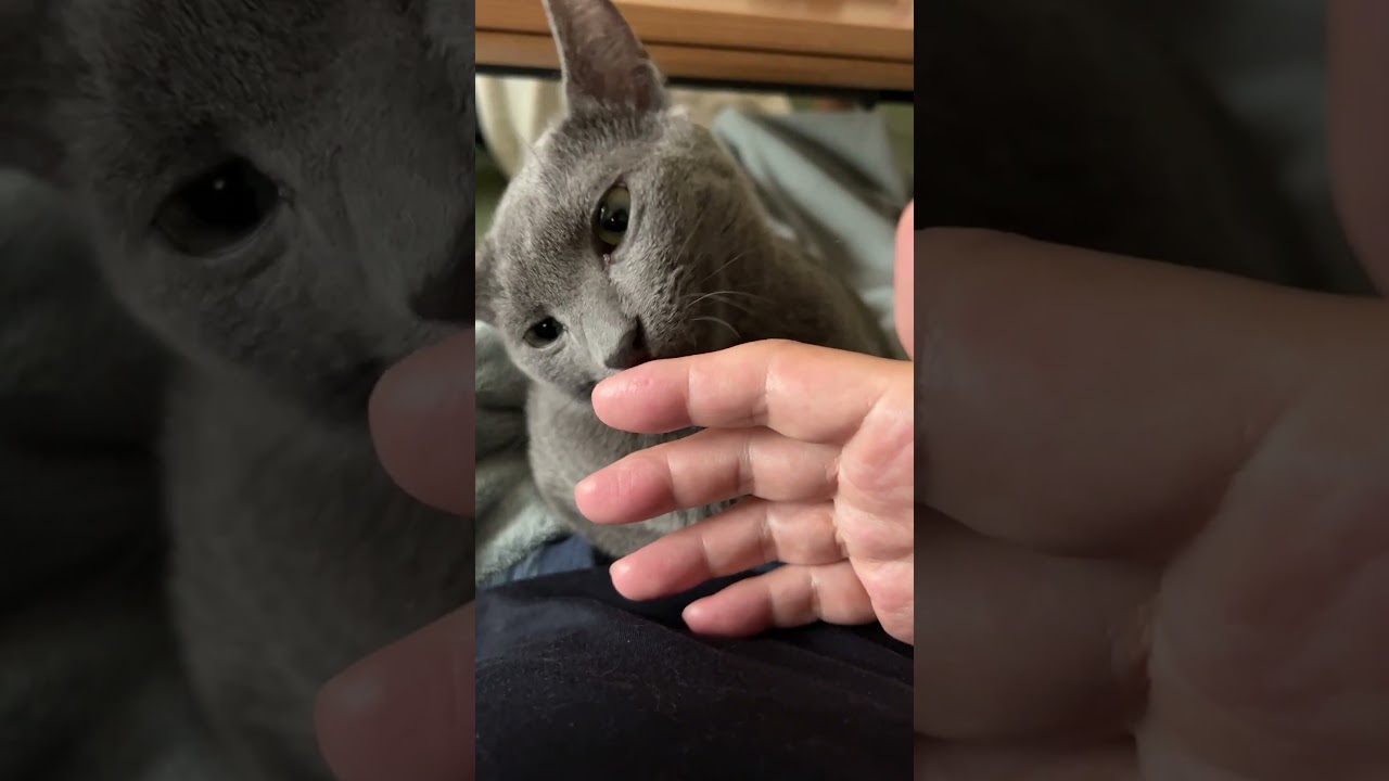 いつもなかよし