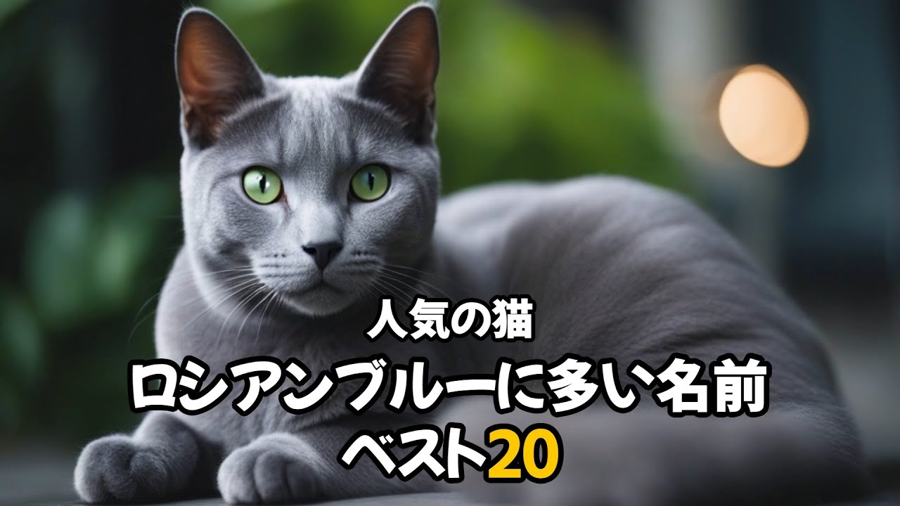 【人気の猫】ロシアンブルーに多い名前ベスト20