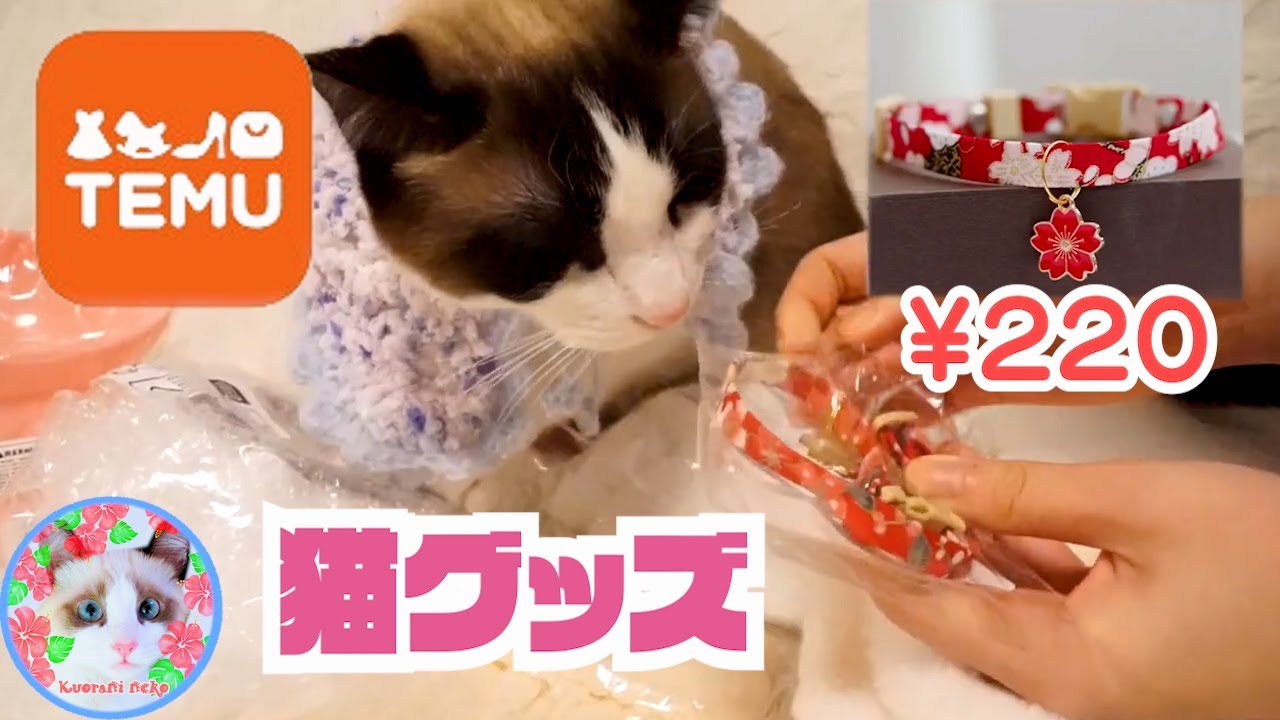 怪しい?通販Temuで猫グッズを買ってみたら問題が！Cheap online store TEMU