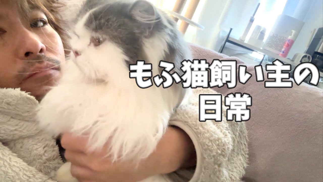 【１日密着】猫と飼い主の日常。驚きの共同生活を大公開！