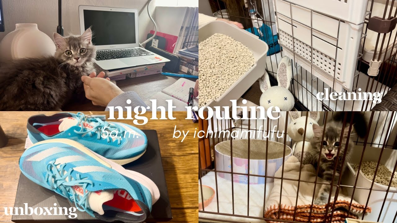 子猫と暮らす会社員👩‍💼|平日の夜の過ごし方🌛掃除,ご飯,ランニングシューズ開封📦