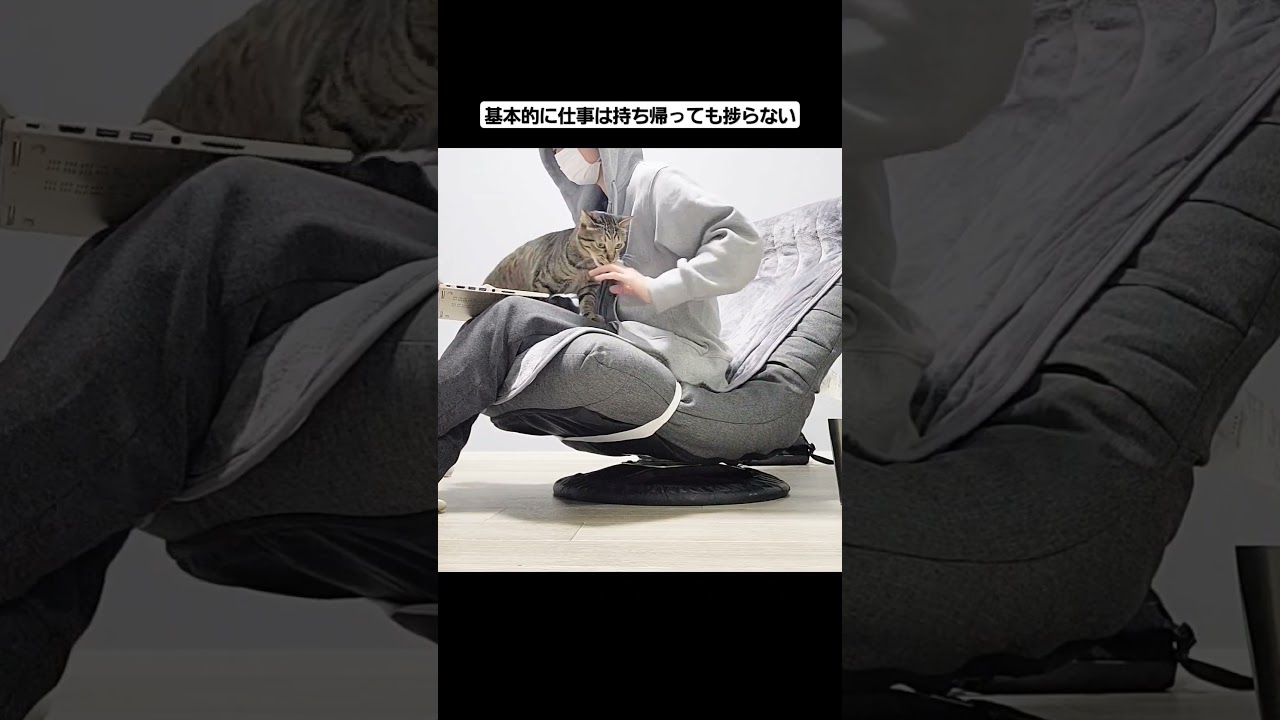 基本的に仕事は持ち帰っても捗らない #shorts #ソマリ #キジトラ #保護猫 #しぴこめ #しぴこめしゃんねる #ねこ #腎不全 #腎臓病 #尿路結石 #ソマリレッド #猫の暮らし