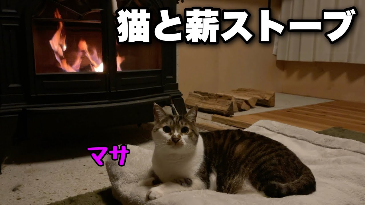 上から着火でゆっくり炎がひろがる静かな夜｜雪国の古民家での冬の楽しみ【猫と薪ストーブ】