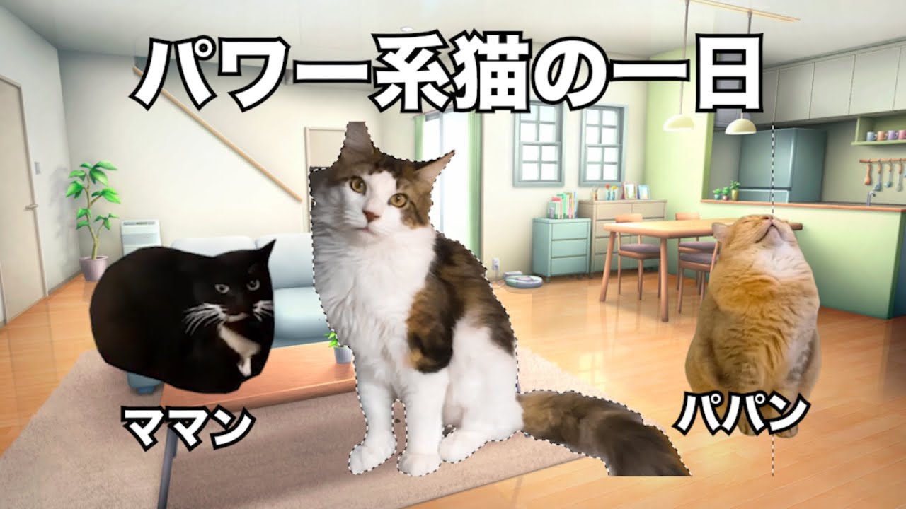 【猫ミーム】猫ミームで描く猫の一日