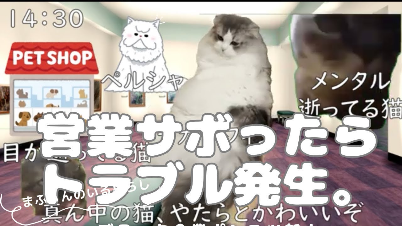 【猫ミーム#3#猫マニ】営業サボった末、取引先でトラブルを起こし鬼上司にガチ切れされた話（新人ポンコツ編）