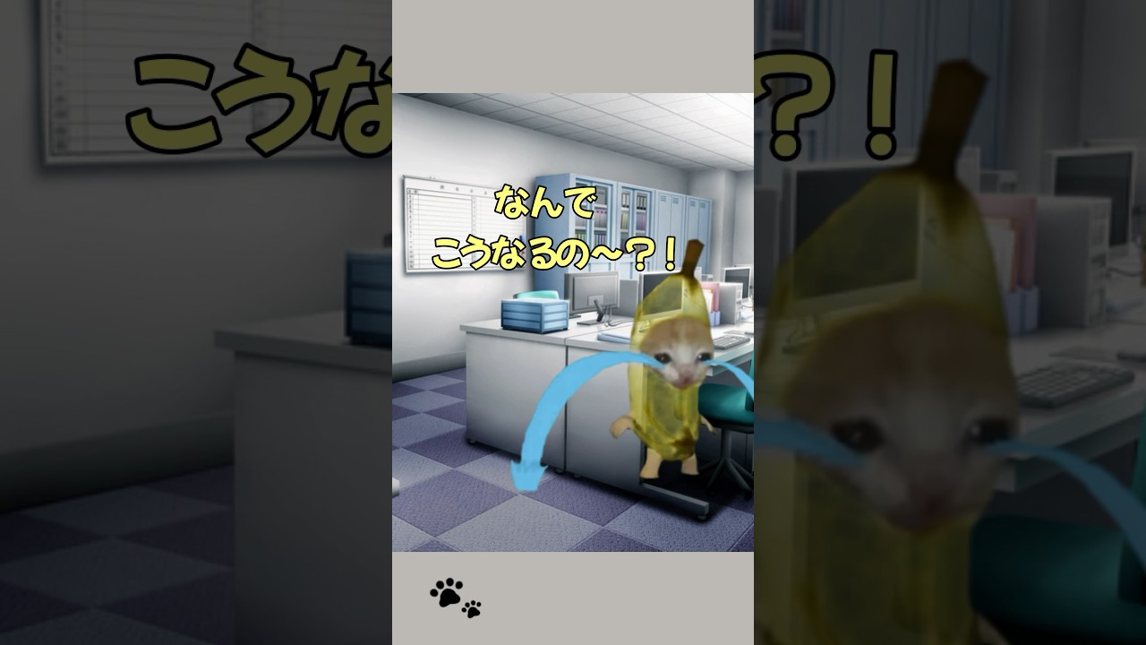 猫のせいで遅刻した話【猫ミーム】