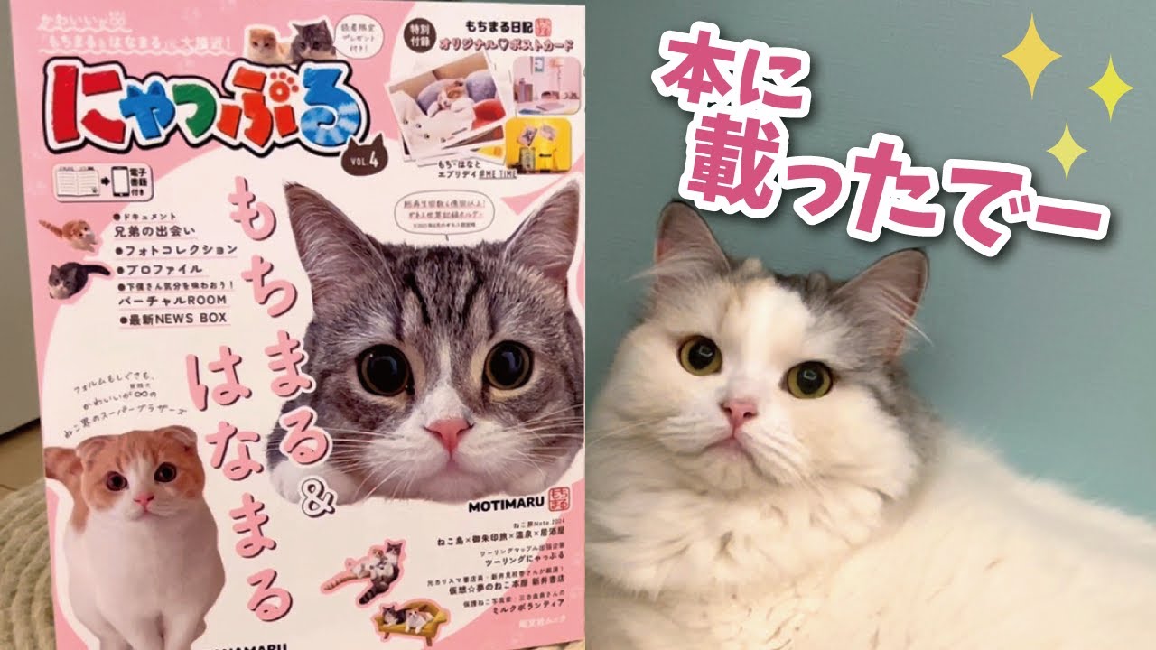 雑誌に掲載されたのに何故か不満そうな猫【関西弁でしゃべる猫】【猫アテレコ】