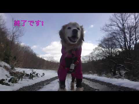 2024 2 24 アロアのクロカン散歩・旧秋田街道