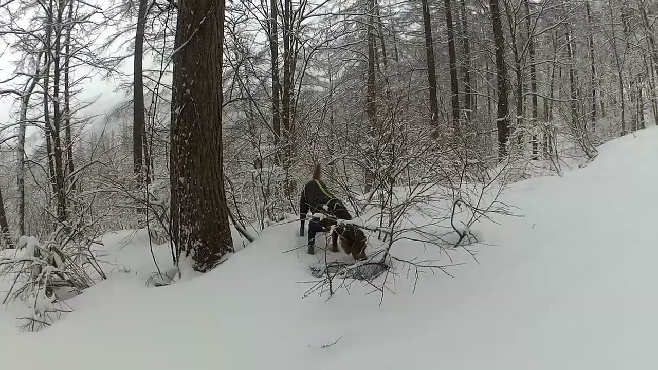 愛犬とスノーシューハイク