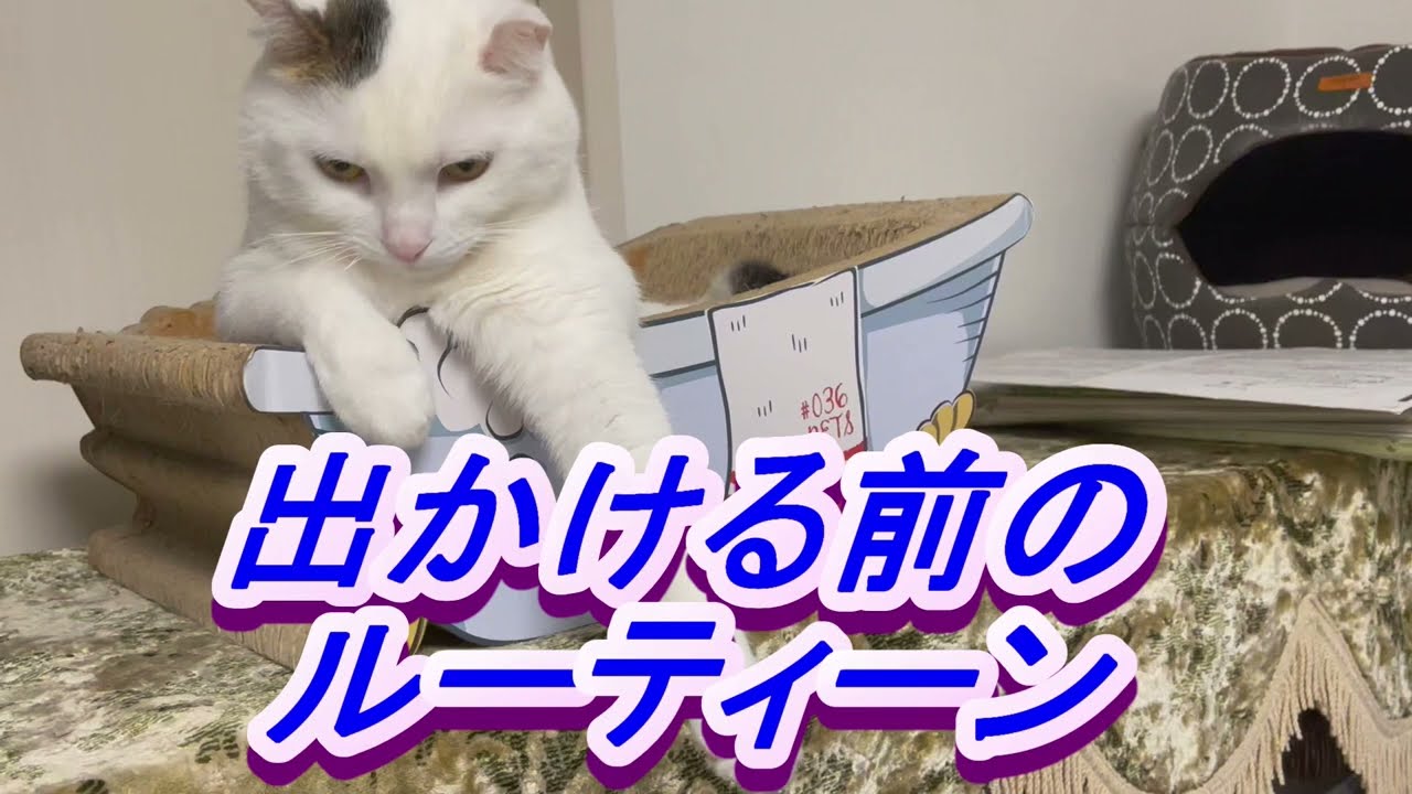 出かける前のﾙｰﾃｨｰﾝ「Routine before going out.」외출 전 루틴