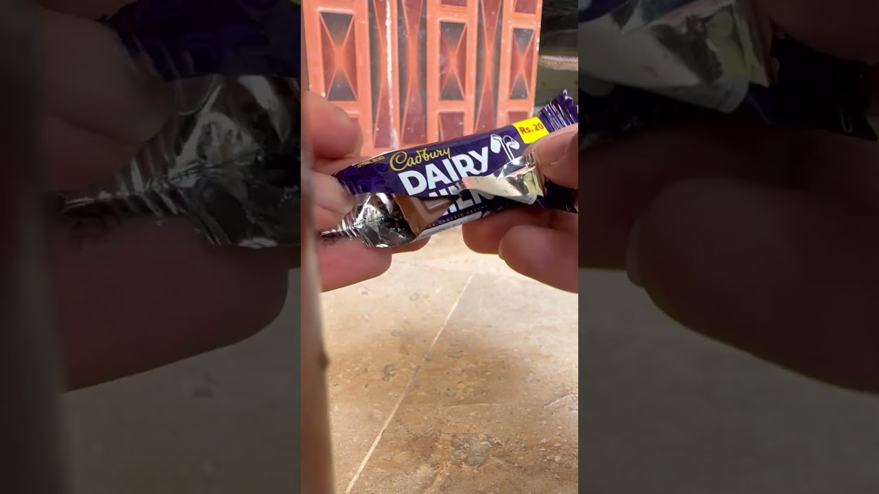 Brown cat Dairy Milk #shortvideo