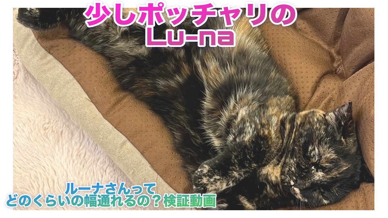 ルーナってどのくらいの幅まで通れるの？？