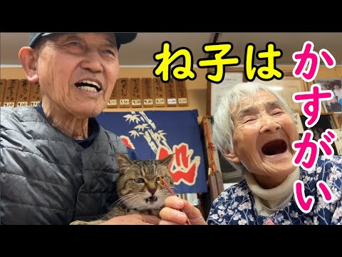 ね子はかすがい【トラ猫ゆき】みやこ寿司