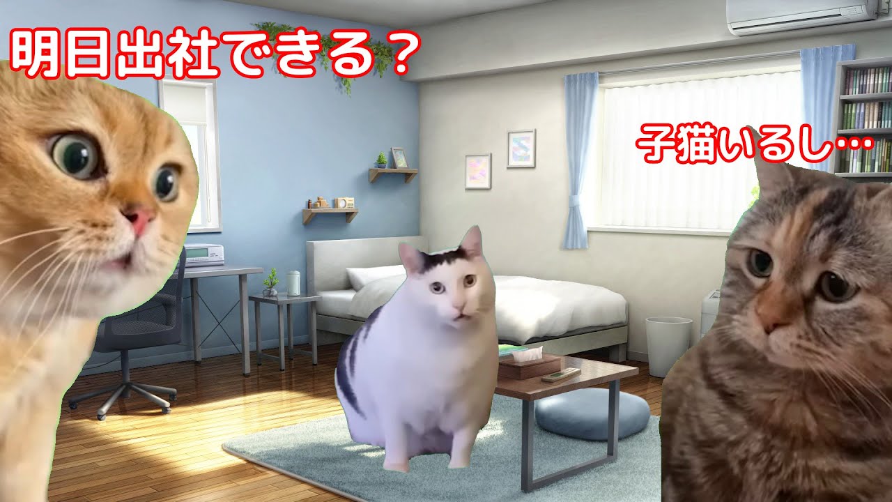 【猫ミーム】子猫を飼い始めた時の話｜びびちゃんねる #猫ミーム #猫ミーム日常  #猫マニ  #memes