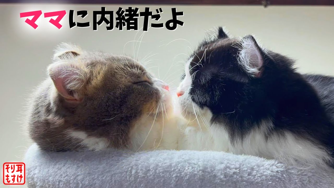 優しいパパと赤ちゃん返りした娘の秘密の時間