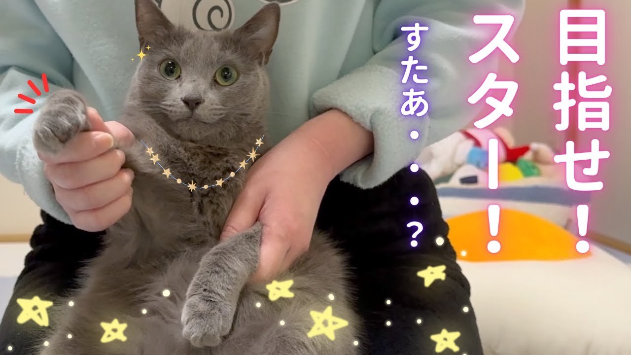 【猫ロシアンブルー】コント『ヒロインに変身』