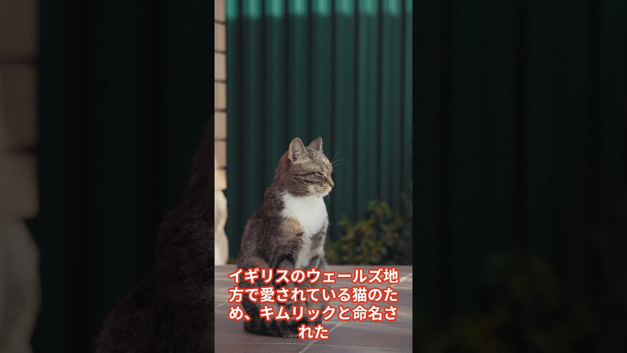 キムリック