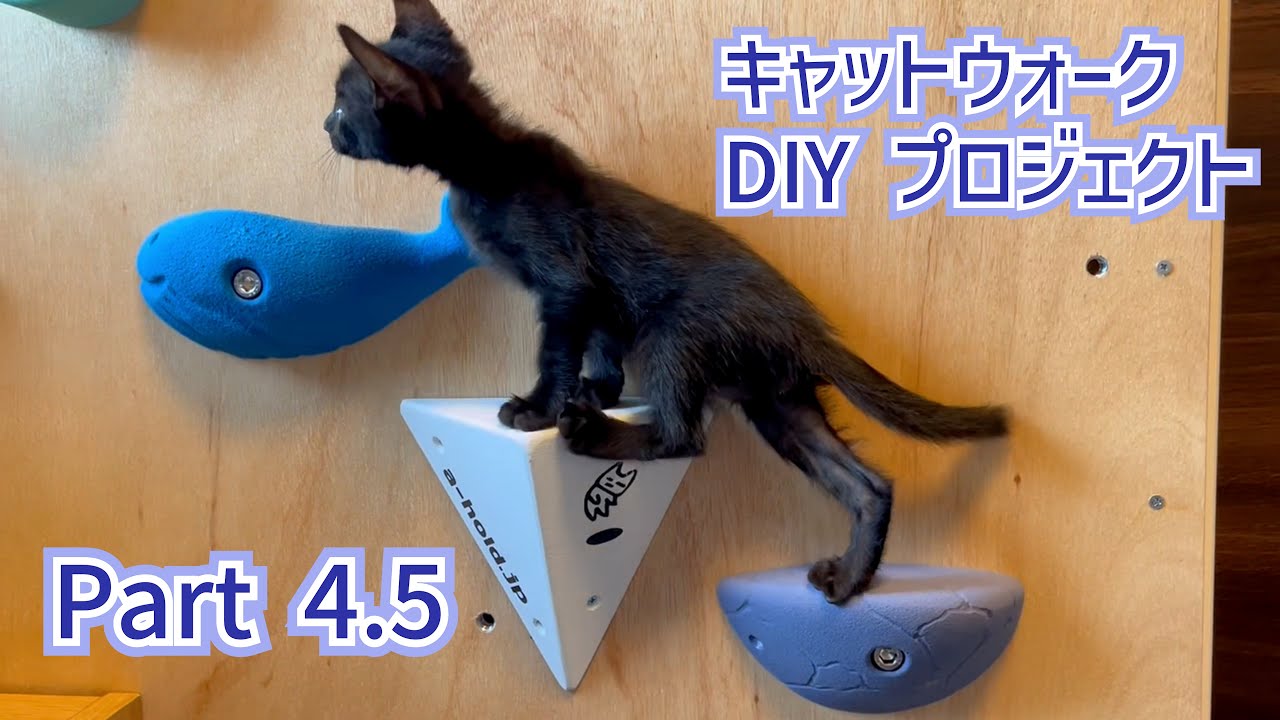 【DIY動画】遊ぶ場所が減っちゃったりんちゃんのためにキャットウォークを作ります！【Part4.5 ボルダリング編】