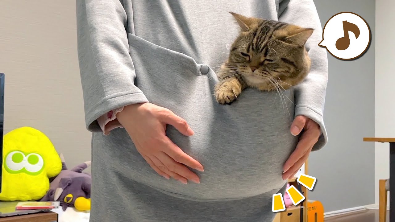 抱っこ嫌いの愛猫とカンガルーの親子になれる服が最高すぎました…！