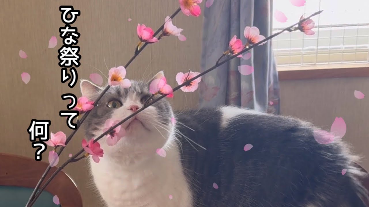 3月3日ひな祭りを少しやってみた！