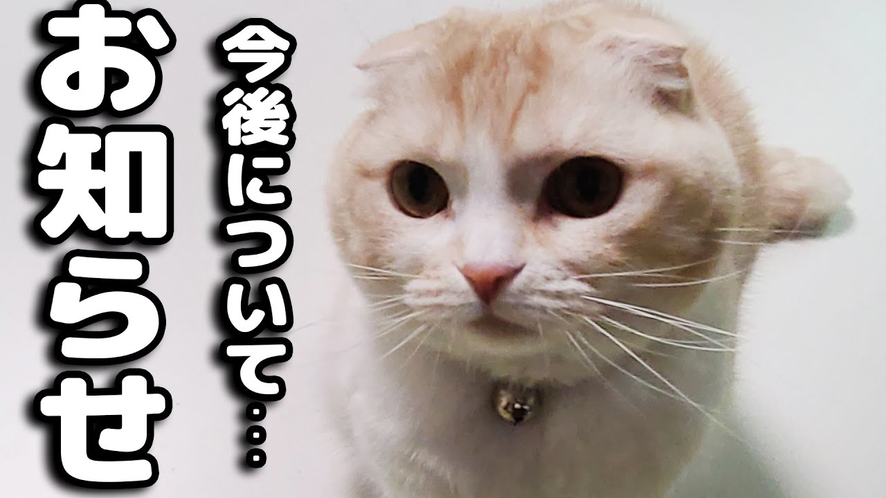 皆様に今後についてお知らせがあります