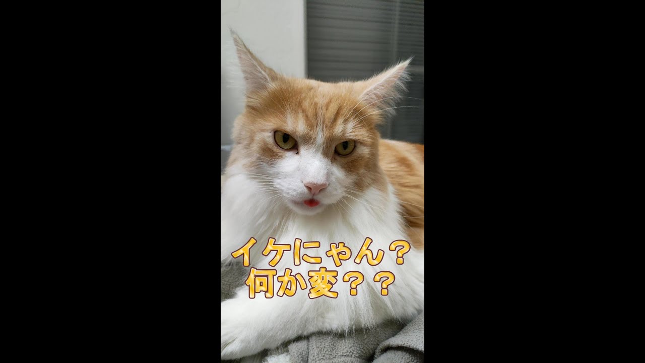 何か変じゃない？
