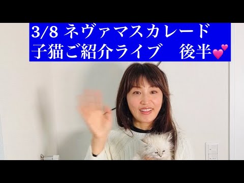 3/8 ネヴァマスカレード子猫ご紹介ライブ　後半💕