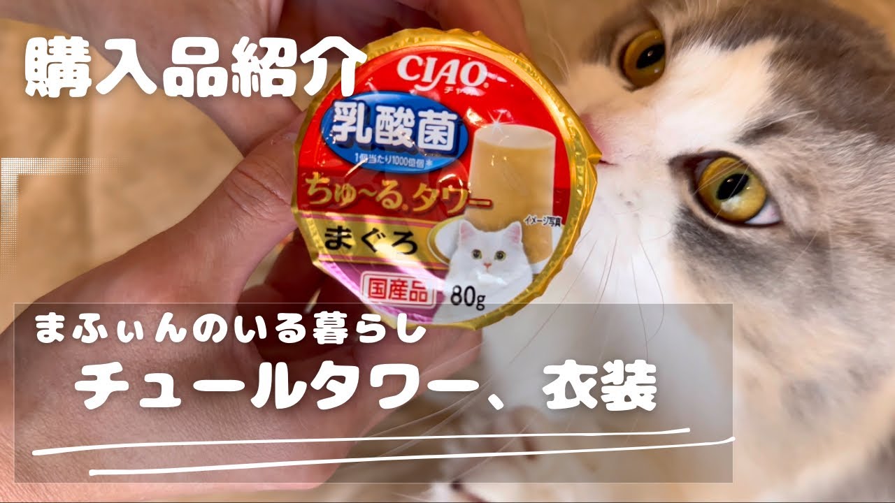 購入品紹介/チュールタワー・新衣装