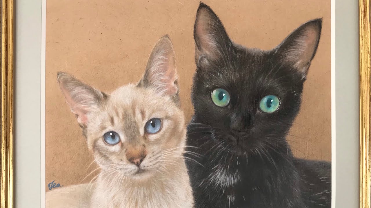色鉛筆画【黒猫&シャムミックス】の描き方