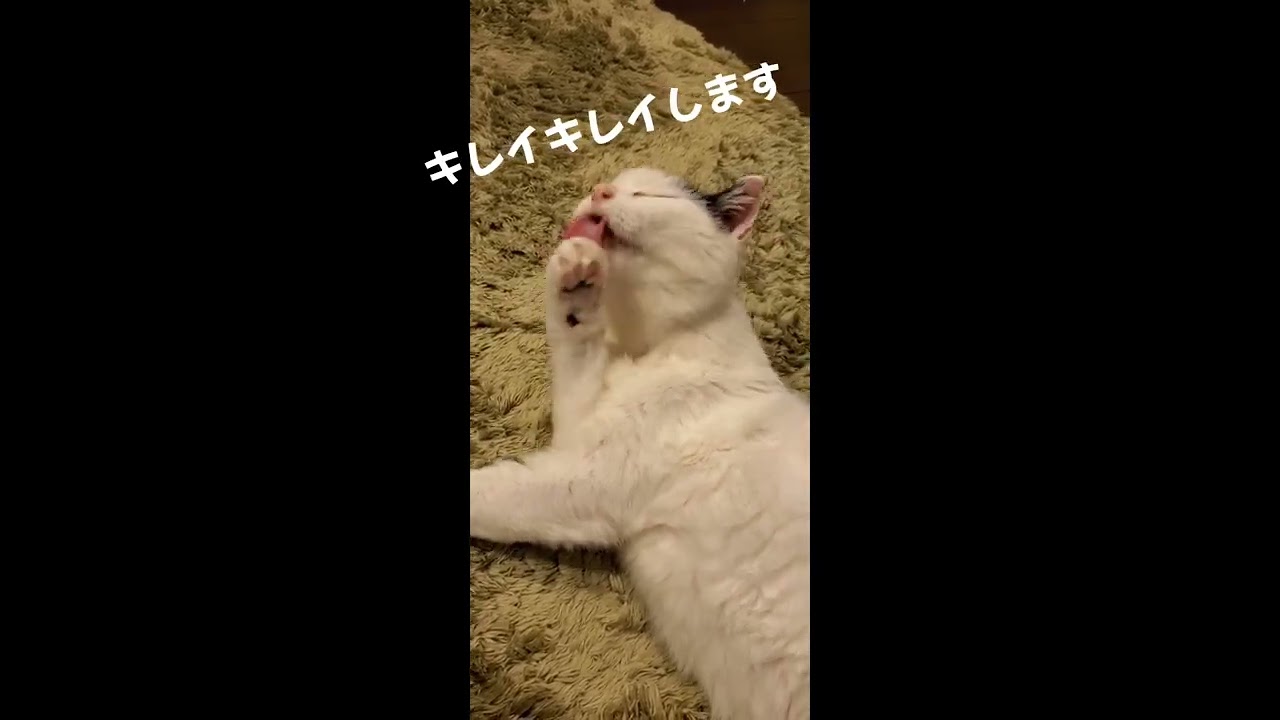 ベロベロベロベロベロベロべ❤️🎵