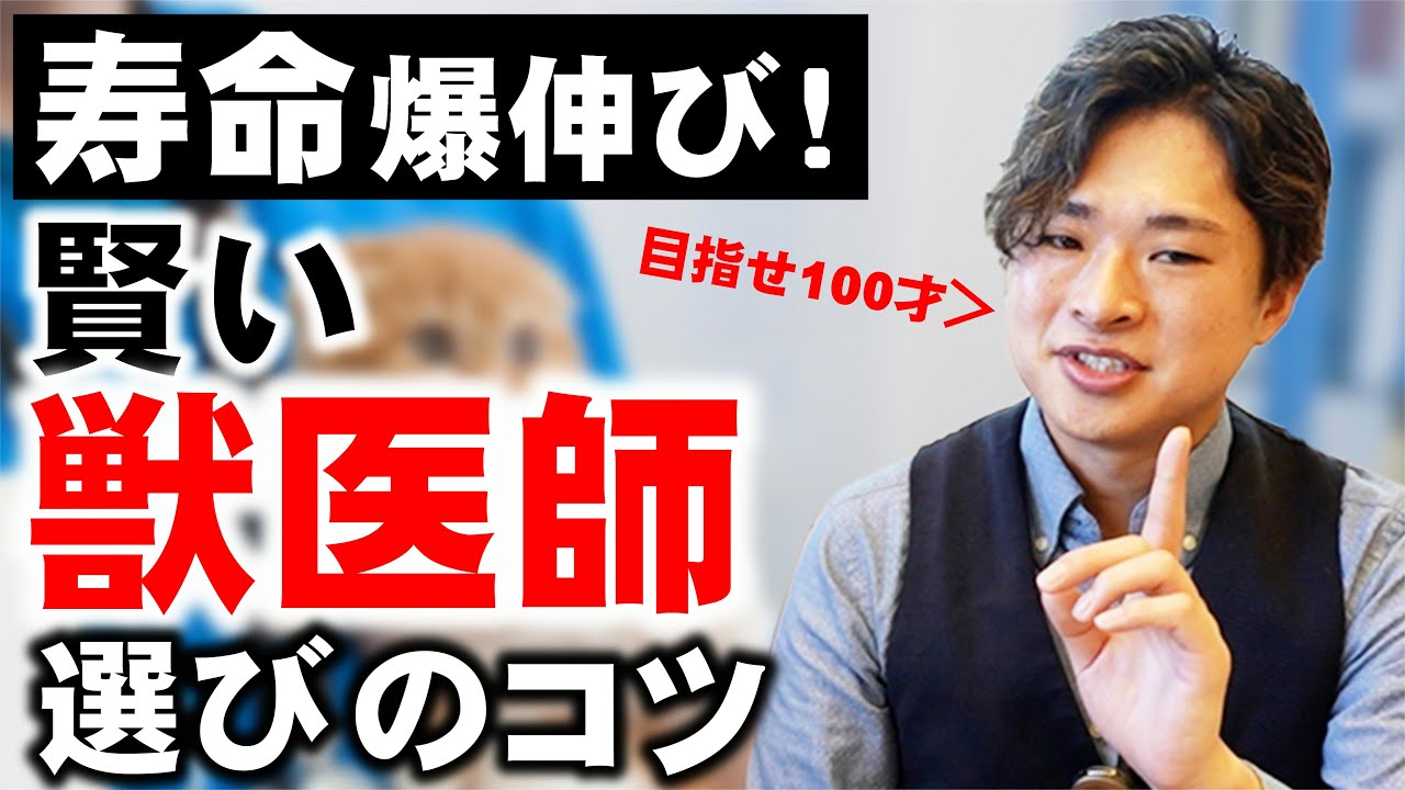 【絶対後悔させない】その獣医さん本当に愛猫にマッチしてる？専門家が選ぶ後悔しない動物病院・獣医さん選びのコツ5選。