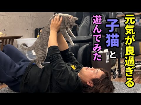 母猫が見守る中子猫と遊んでいたら…