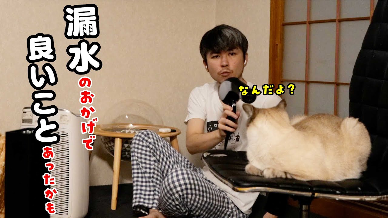 【朗報】最悪だと思っていた水漏れのおかげで良いことあったかも