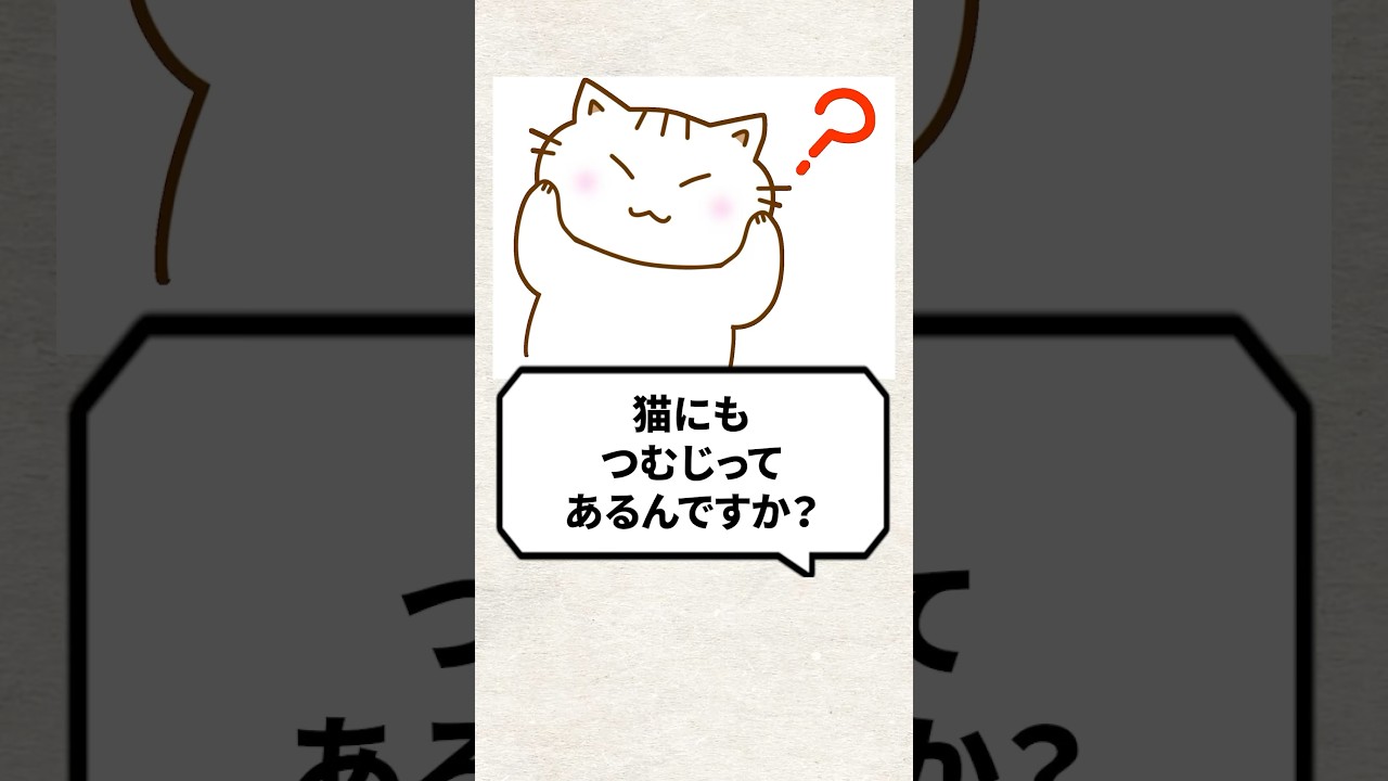 Q：猫にもつむじってあるんですか？ #猫 #猫好き #ねこ