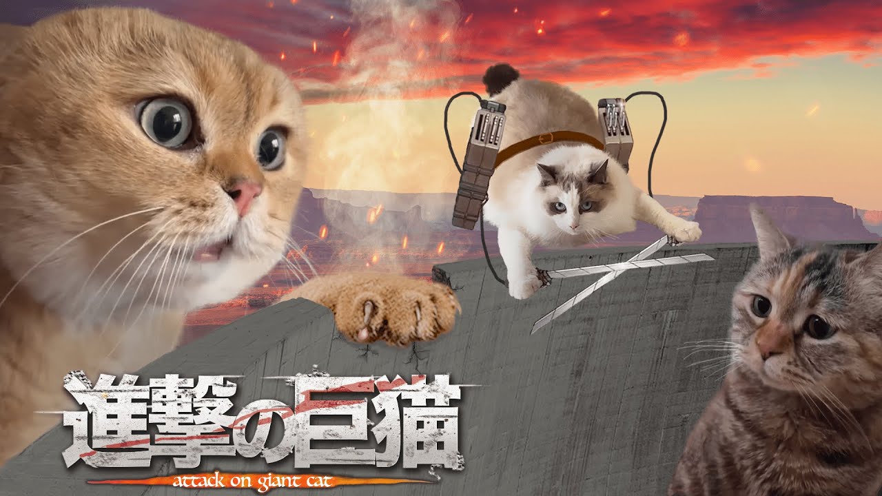 【猫ミーム】進撃の巨猫　第1話