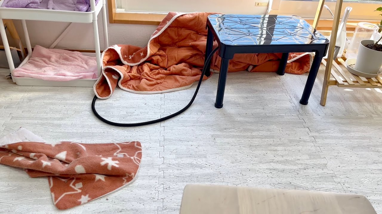 朝になると何故、こうなっているのか？ #猫 #マンチカン
