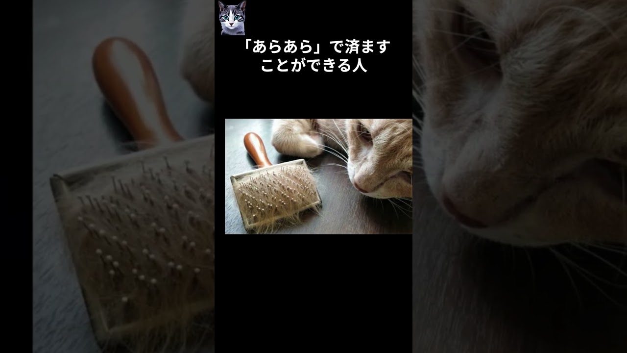 猫の下僕に向いている人7選#cat  #catbehavior  #キャット #雑学 #catcare  #pettingcat #ねこ