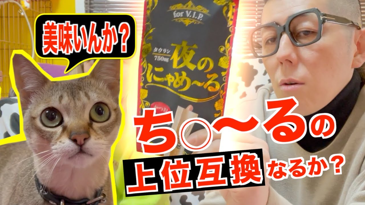 初めてのおやつが猫達に大人気でした